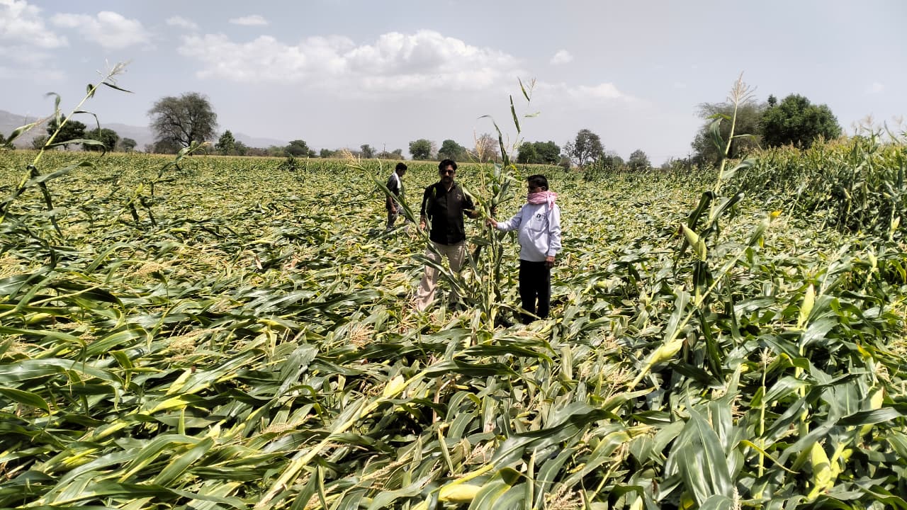 Additional News Image