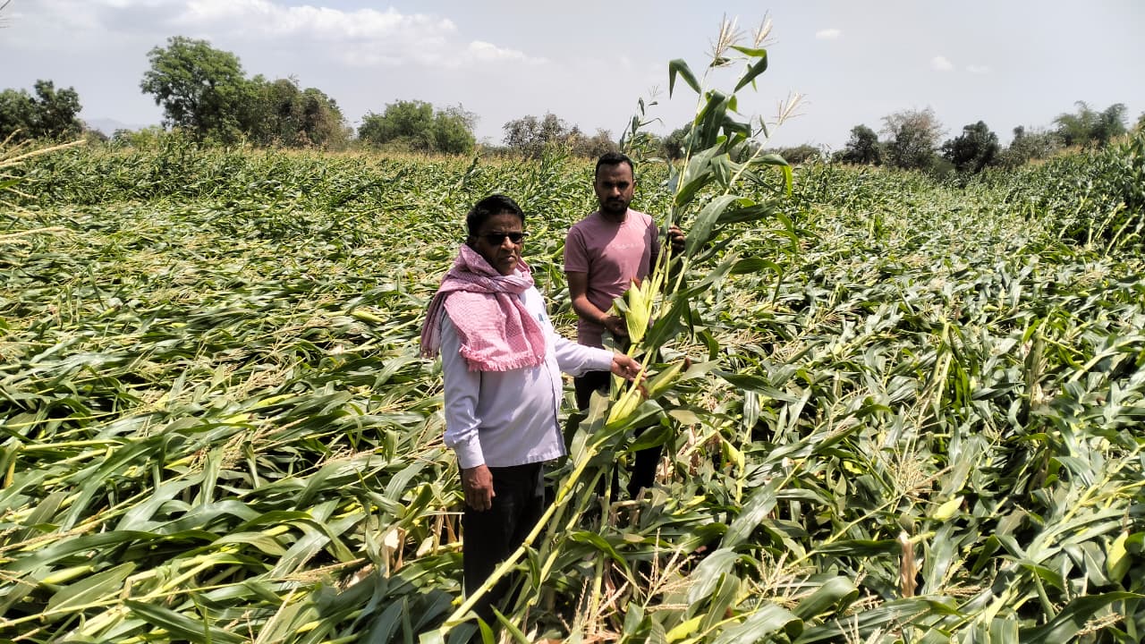 Additional News Image