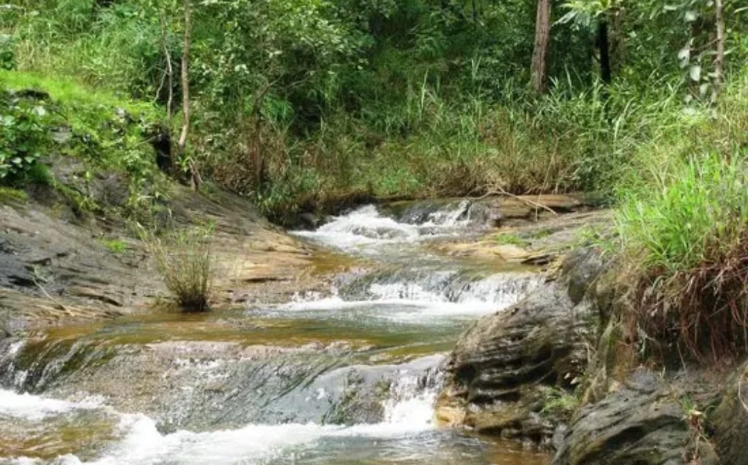 Additional News Image