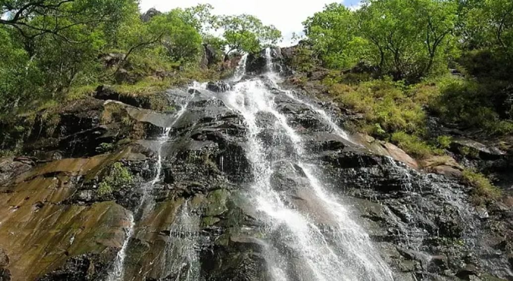 Additional News Image