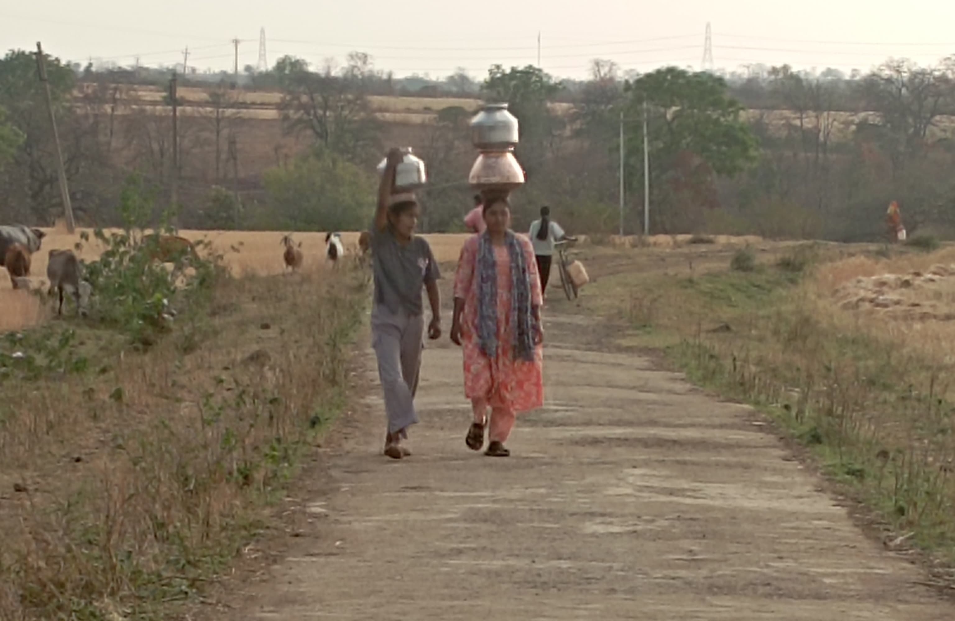 Additional News Image