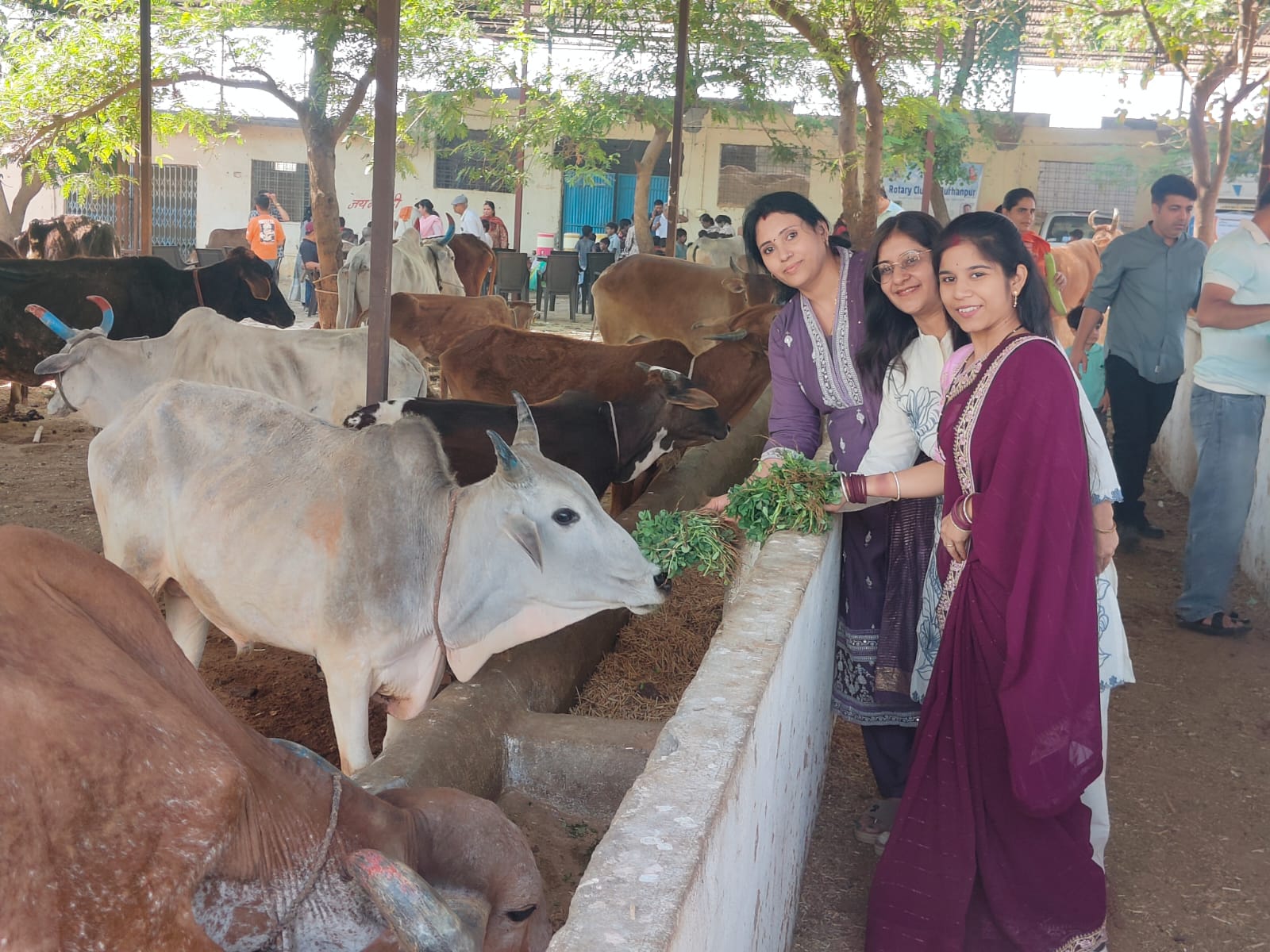 नवरात्रि में सेवा का महायज्ञ: रोटरी क्लब बुरहानपुर ने गौसेवा, कन्या भोज और ज्ञानवर्धन से रचा मानवता का स्वर्णिम अध्याय posted by Raju Rathore from Burhanpur