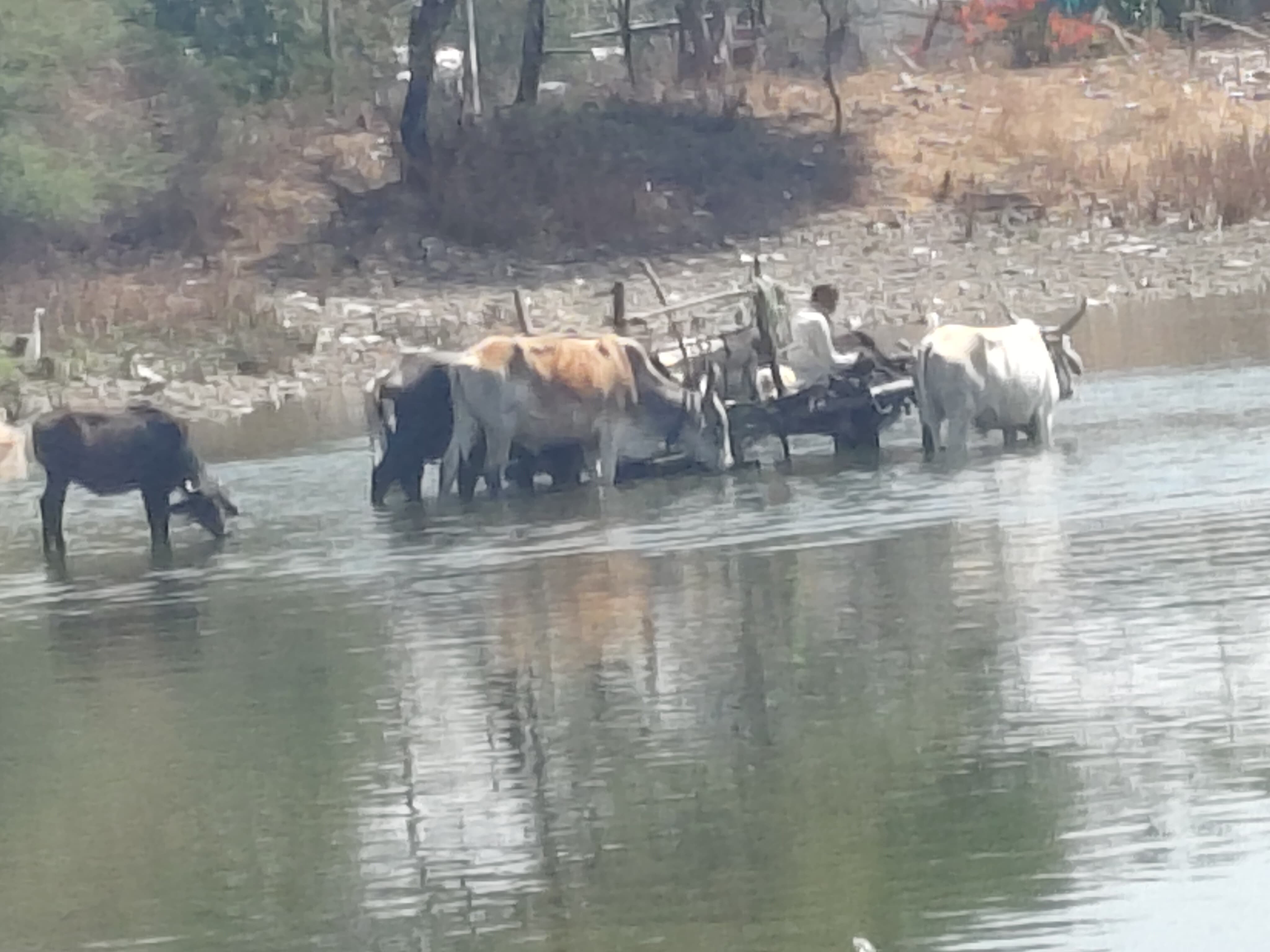 Additional News Image