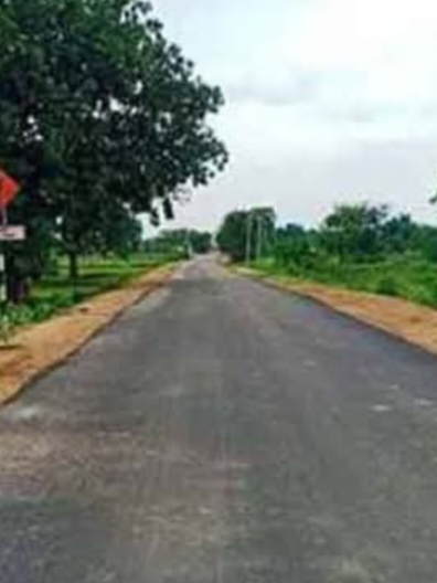 Additional News Image