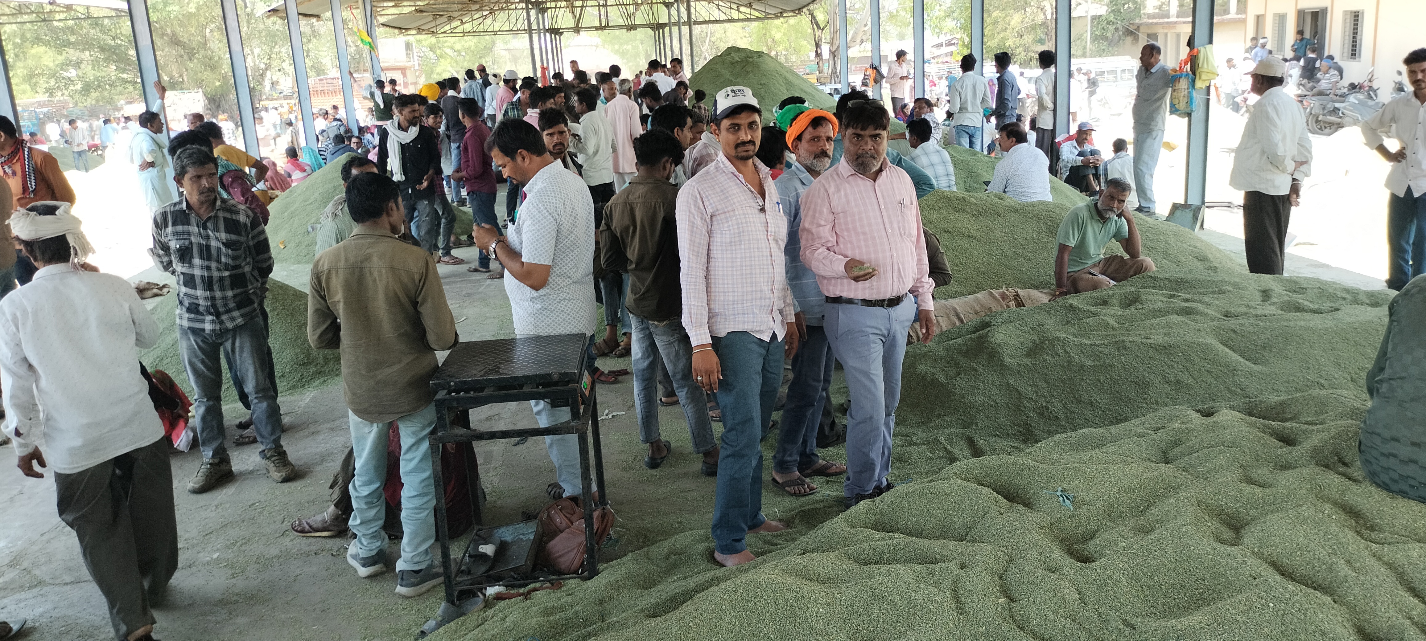 सीजन में पहली बार आवक 1400 बोरी पार, बेमौसम वर्षा ने फीकी की सौंफ की चमक गत सप्ताह से 20 हजार रुपए अधिक मिले भाव, अधिकांश उपज के कम मिले दाम posted by Lokesh Davde