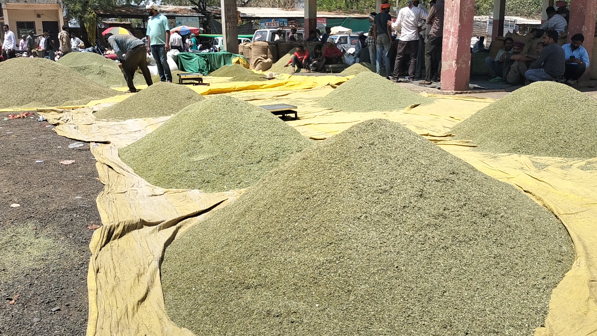 Additional News Image