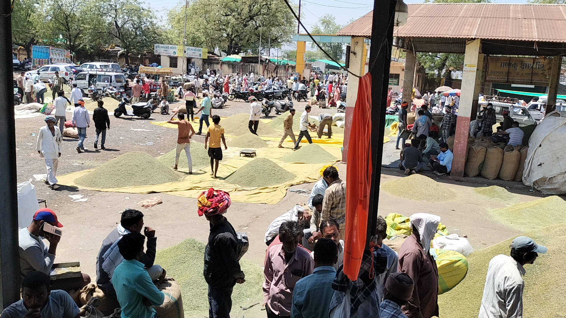 Additional News Image