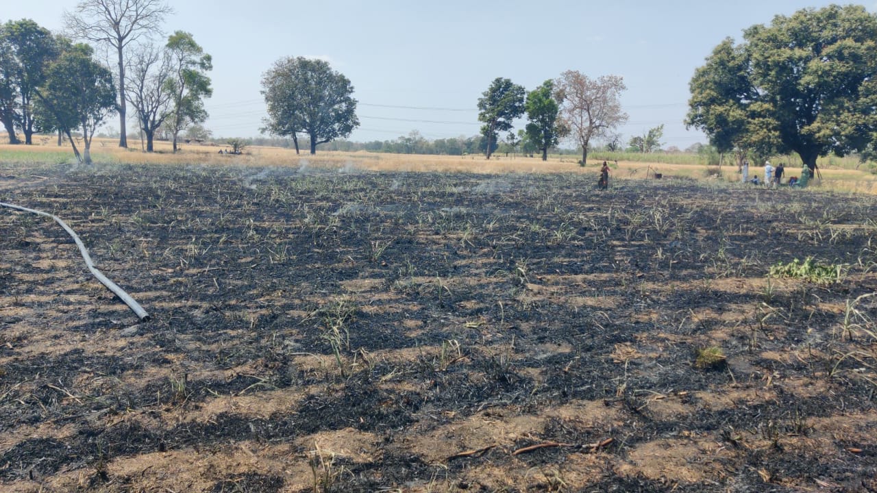 *आमला तहसील में दो जगह भीषण आग, 6 एकड़ फसल जलकर खाक* posted by Mohammad Asif Langha from Amla