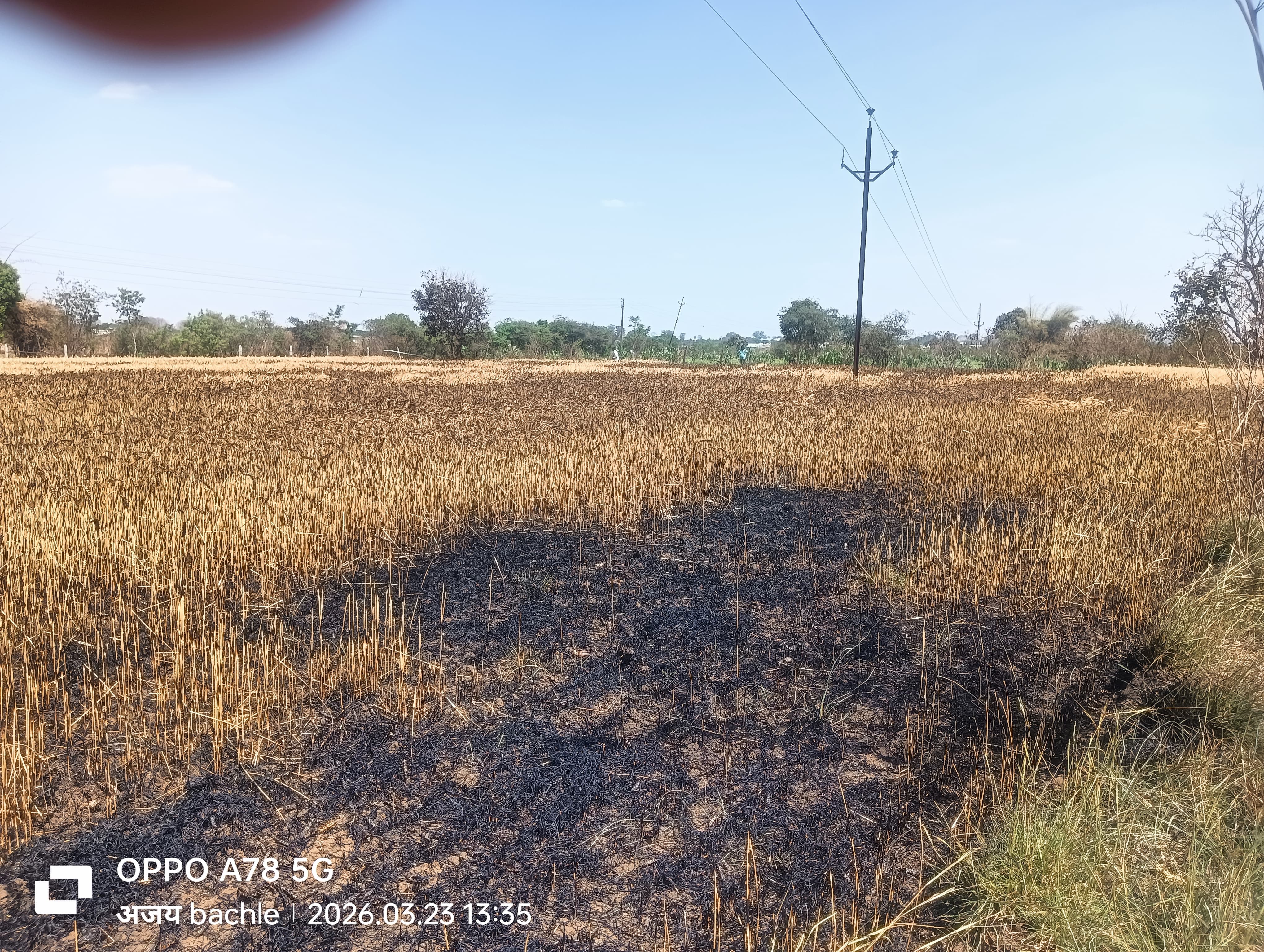 Additional News Image