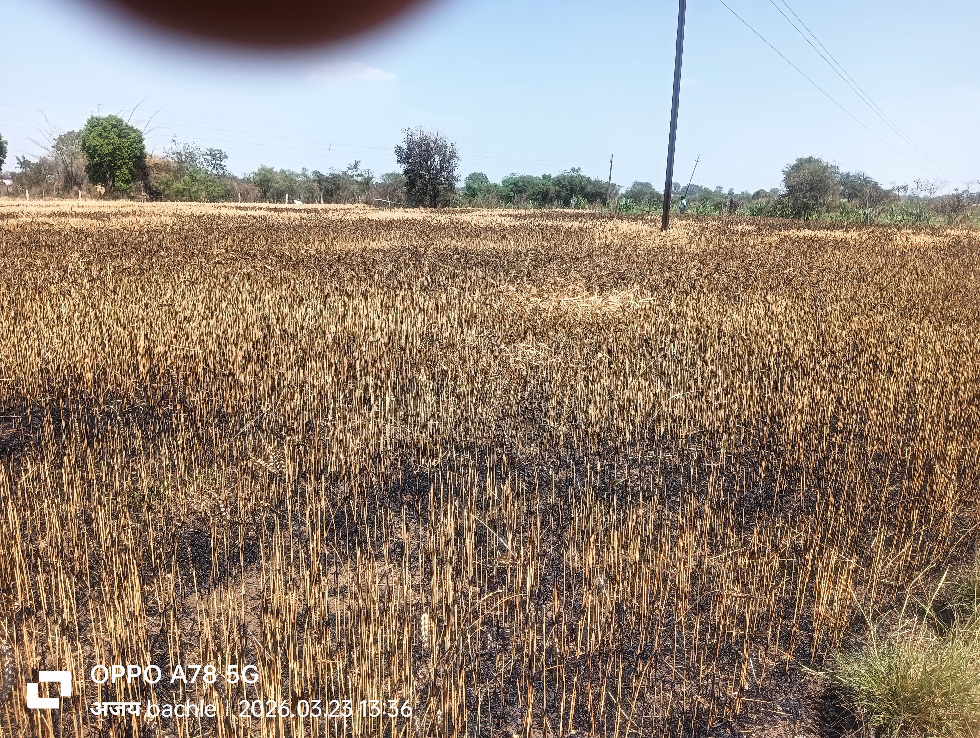 Additional News Image