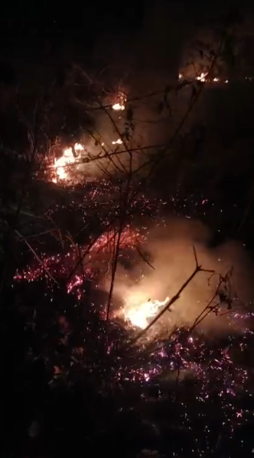 अमरकंटक के जमुना दादर क्षेत्र के वनों में लगी भीषण आग जल्द पाया गया काबू  posted by Kishor Kumar Soni  from Anuppur