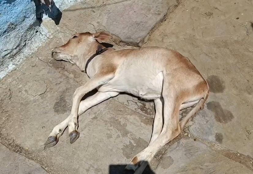 Additional News Image