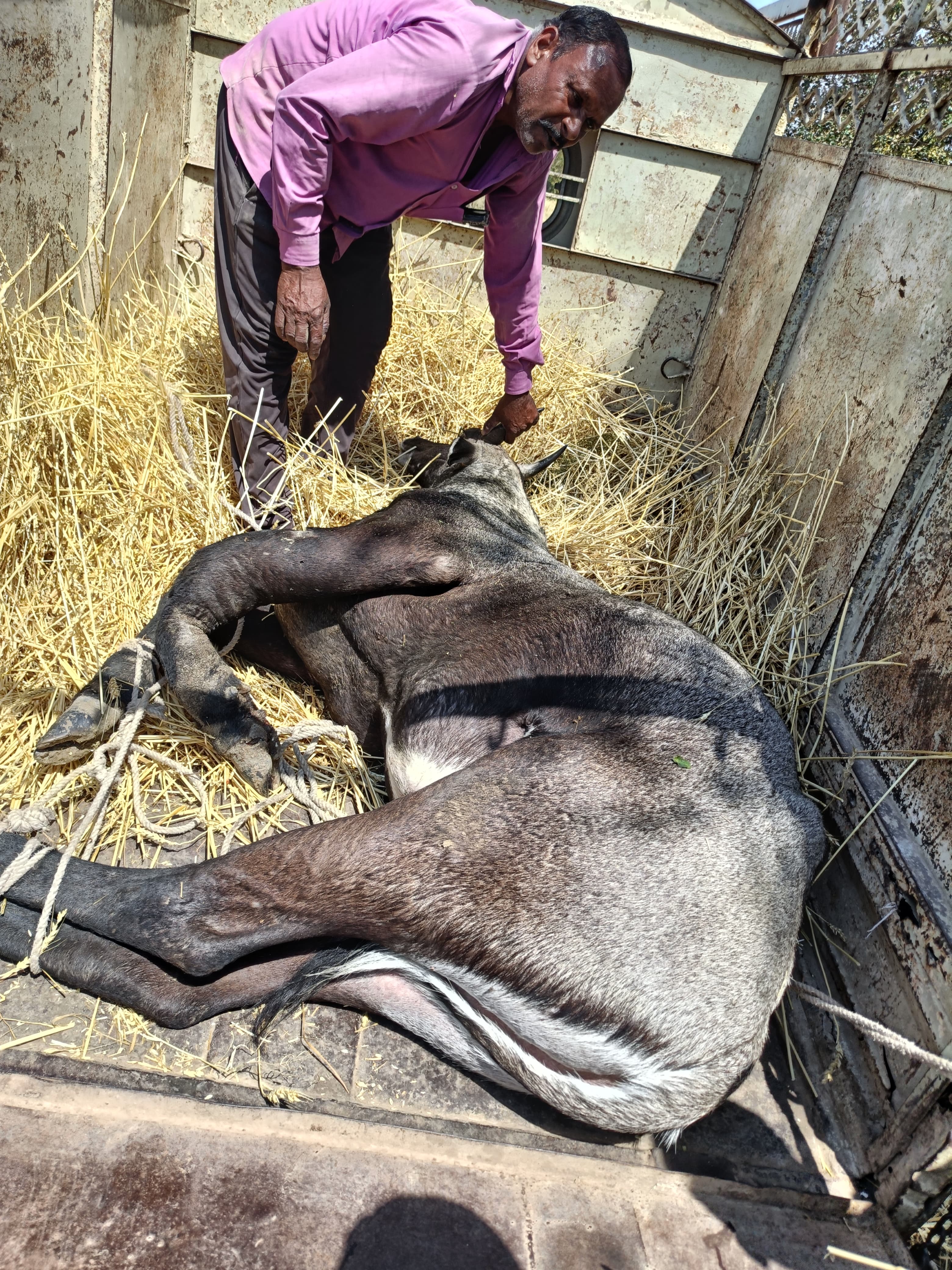 Additional News Image