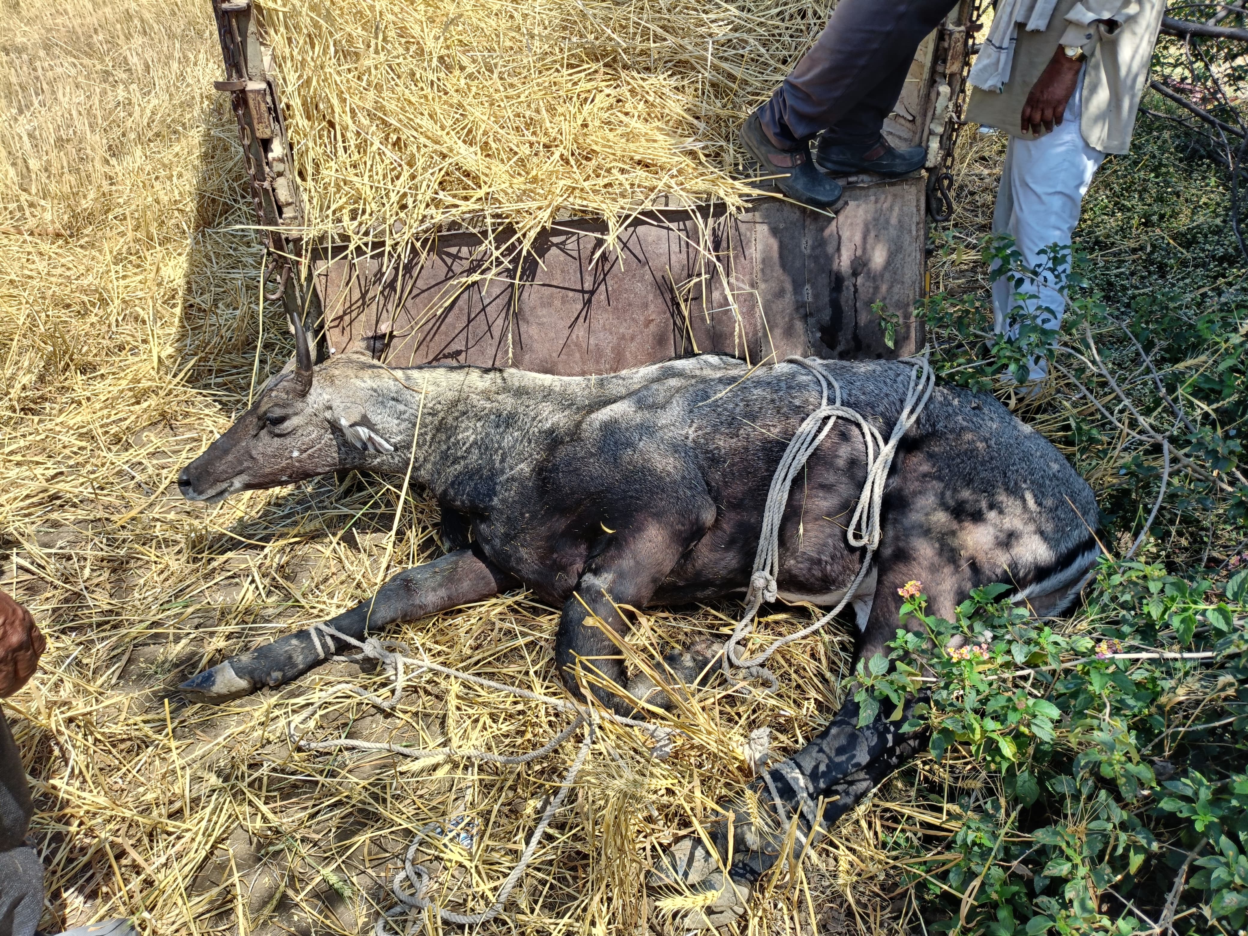 Additional News Image