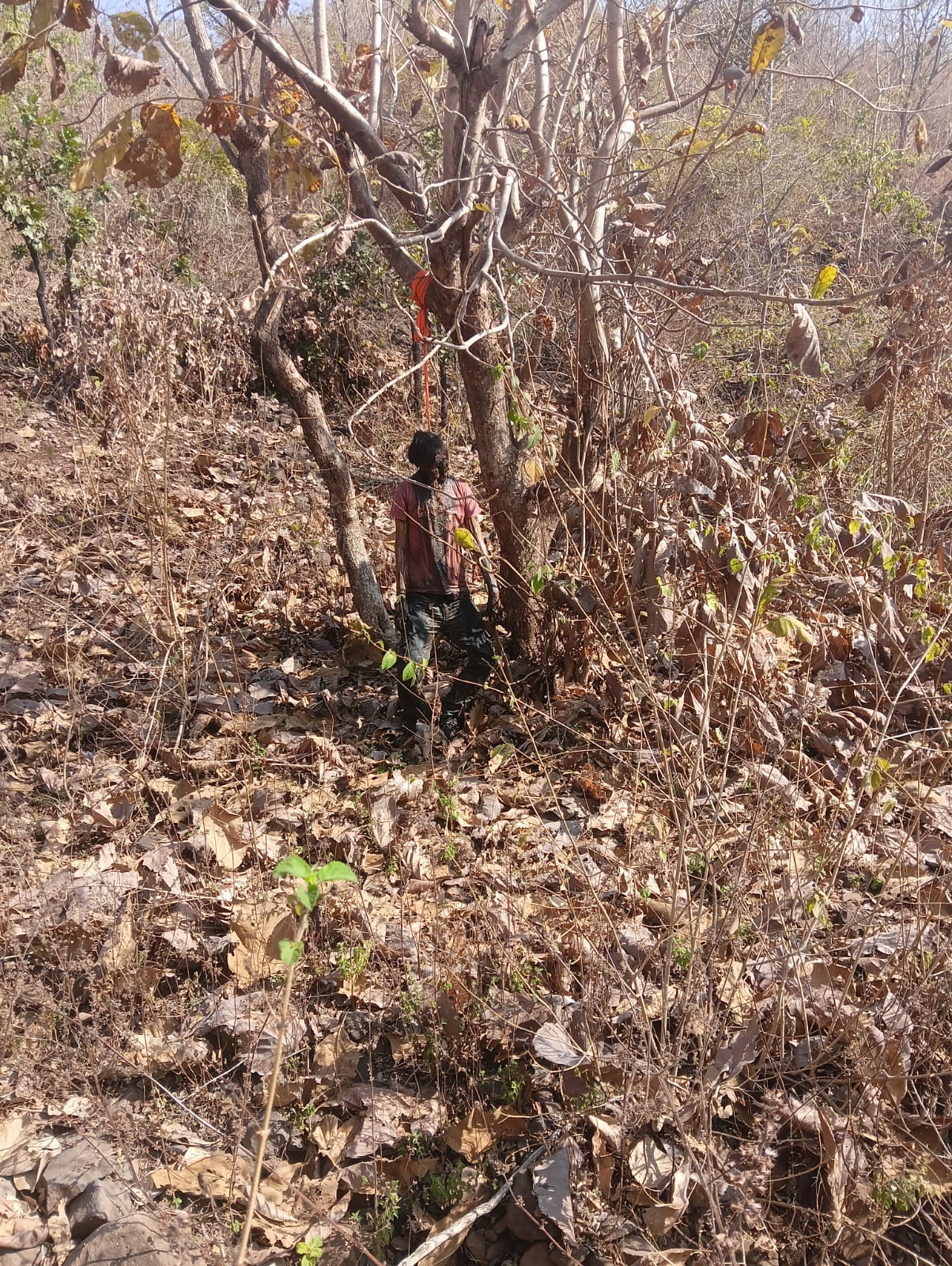 पहाड़ी से आ रही थी तेज दुर्गंध,लोग देखकर रह गए हैरान, फिर पहुंची पुलिस  posted by Ravi Soni from Garhakota