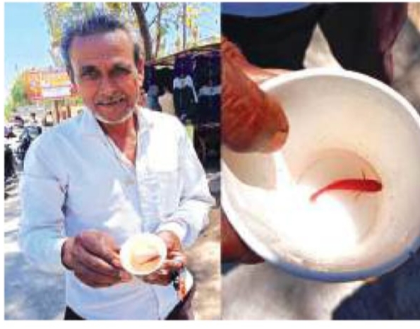 कारंजा के पास नाली में मिली रेड मछली... posted by Lokesh Davde