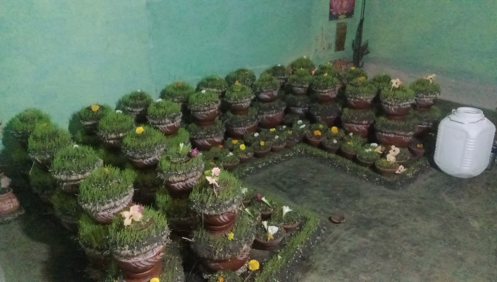 Additional News Image