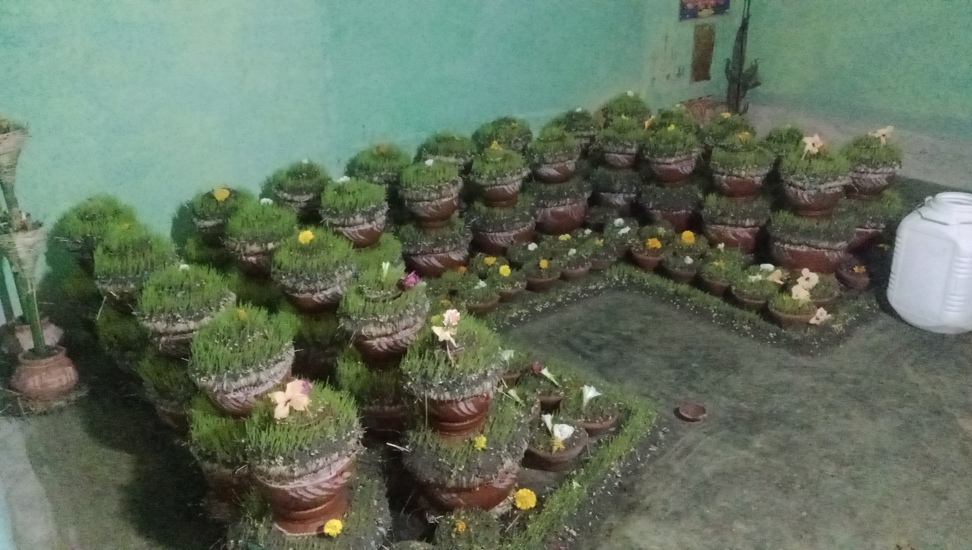 Additional News Image