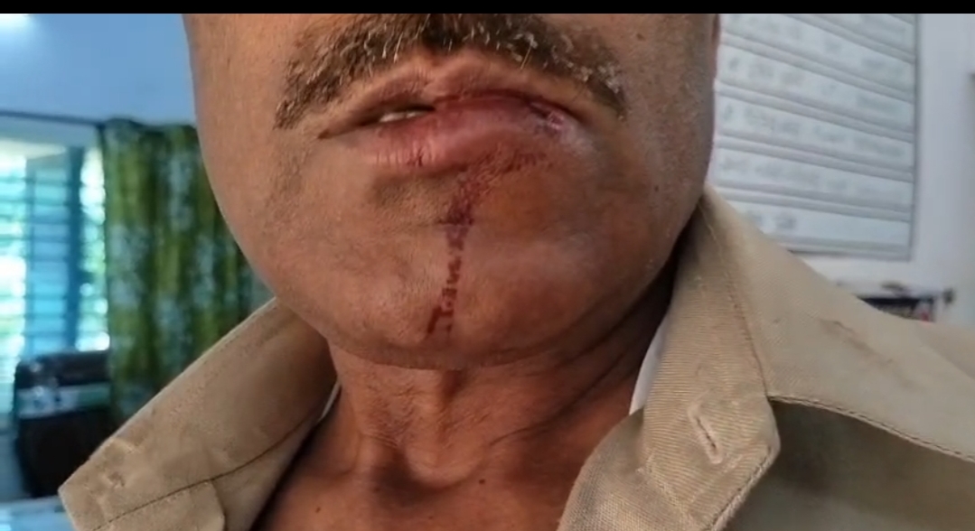 Additional News Image