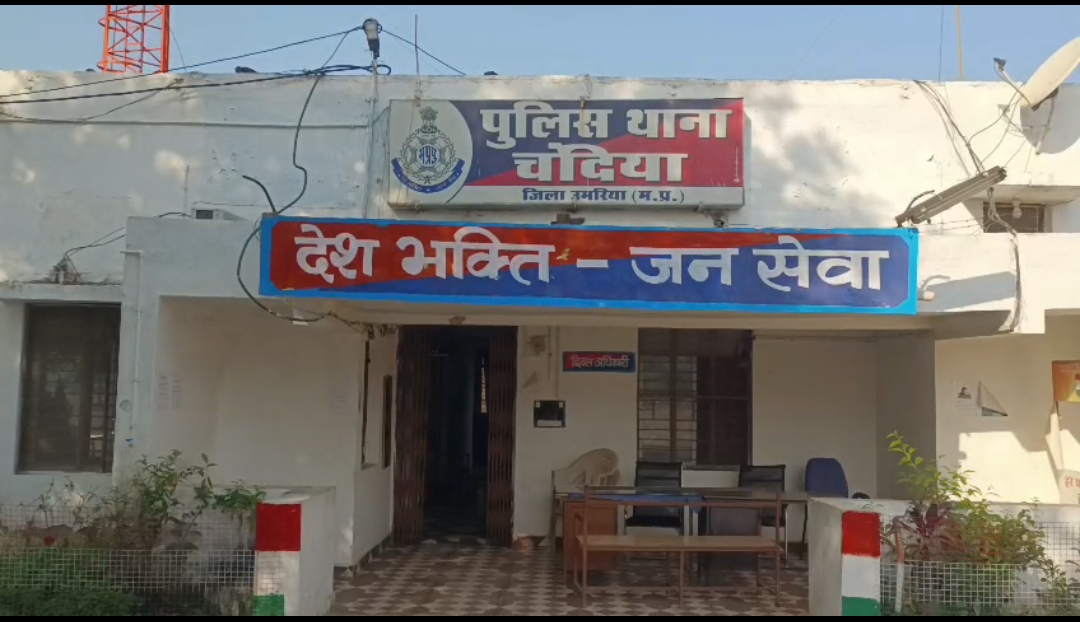 उमरिया: तेज रफ्तार ट्रक की चपेट में आए दो वनकर्मी, दर्दनाक मौत posted by KD Khan from Umaria