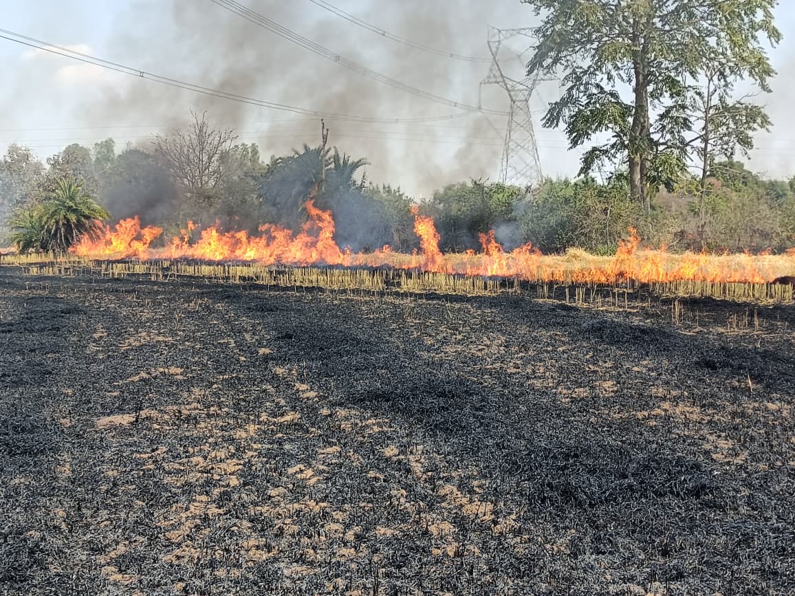 Additional News Image