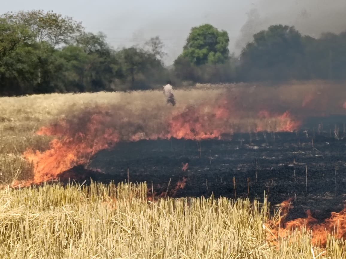 Additional News Image