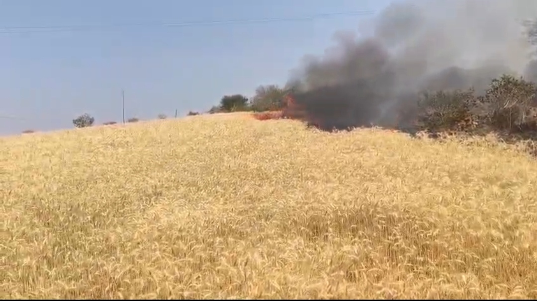 हिवरखेड में खड़ी गेहूं की फसल में लगी आग, दमकल ने पाया काबू posted by Mohammad Afsar  from Multai