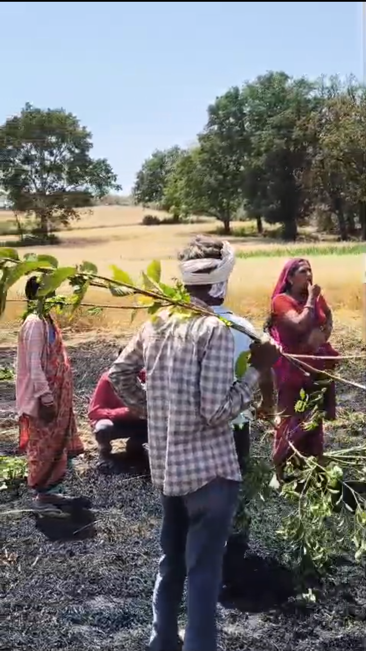 Additional News Image