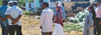 तलवाड़ा बुजुर्ग की नंदनी गोशाला का जिपं सीईओ ने किया निरीक्षण posted by Lokesh Davde