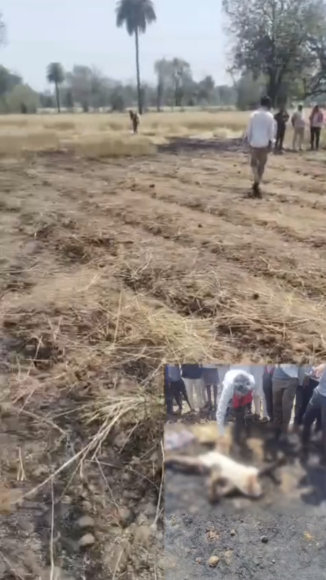 छतरपुर जिले के पड़रिया चौकी क्षेत्र अंतर्गत नेगुंवा गांव में रविवार को एक बेहद दुखद घटना सामने आई।  posted by Amit Kumar Awasthi