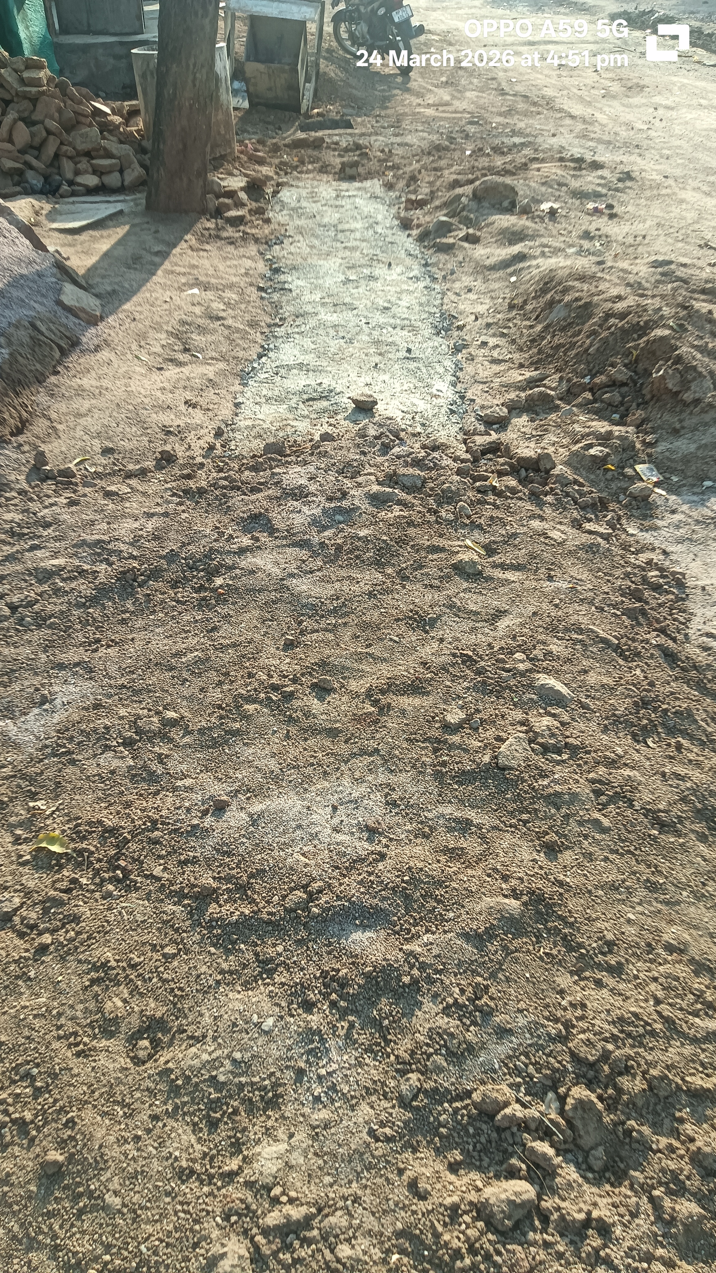 Additional News Image