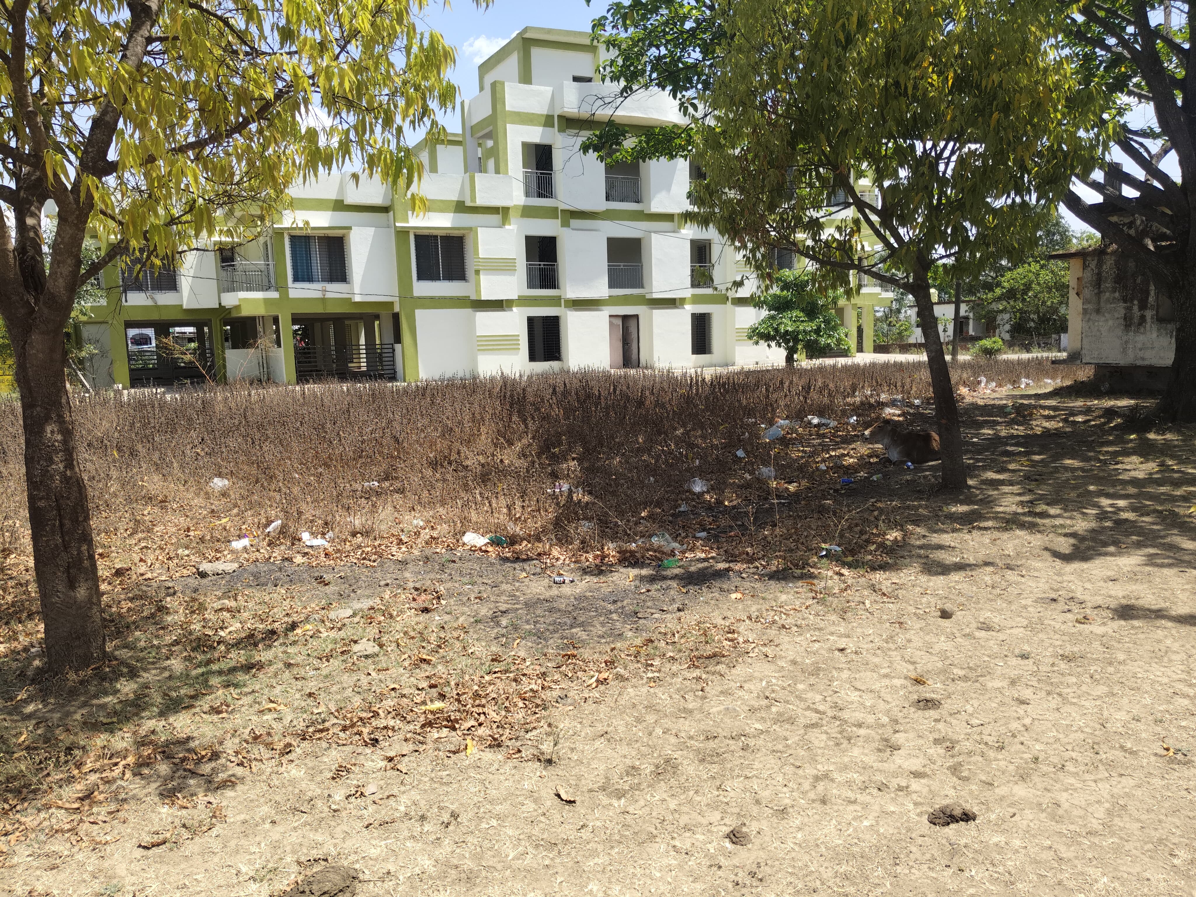 Additional News Image