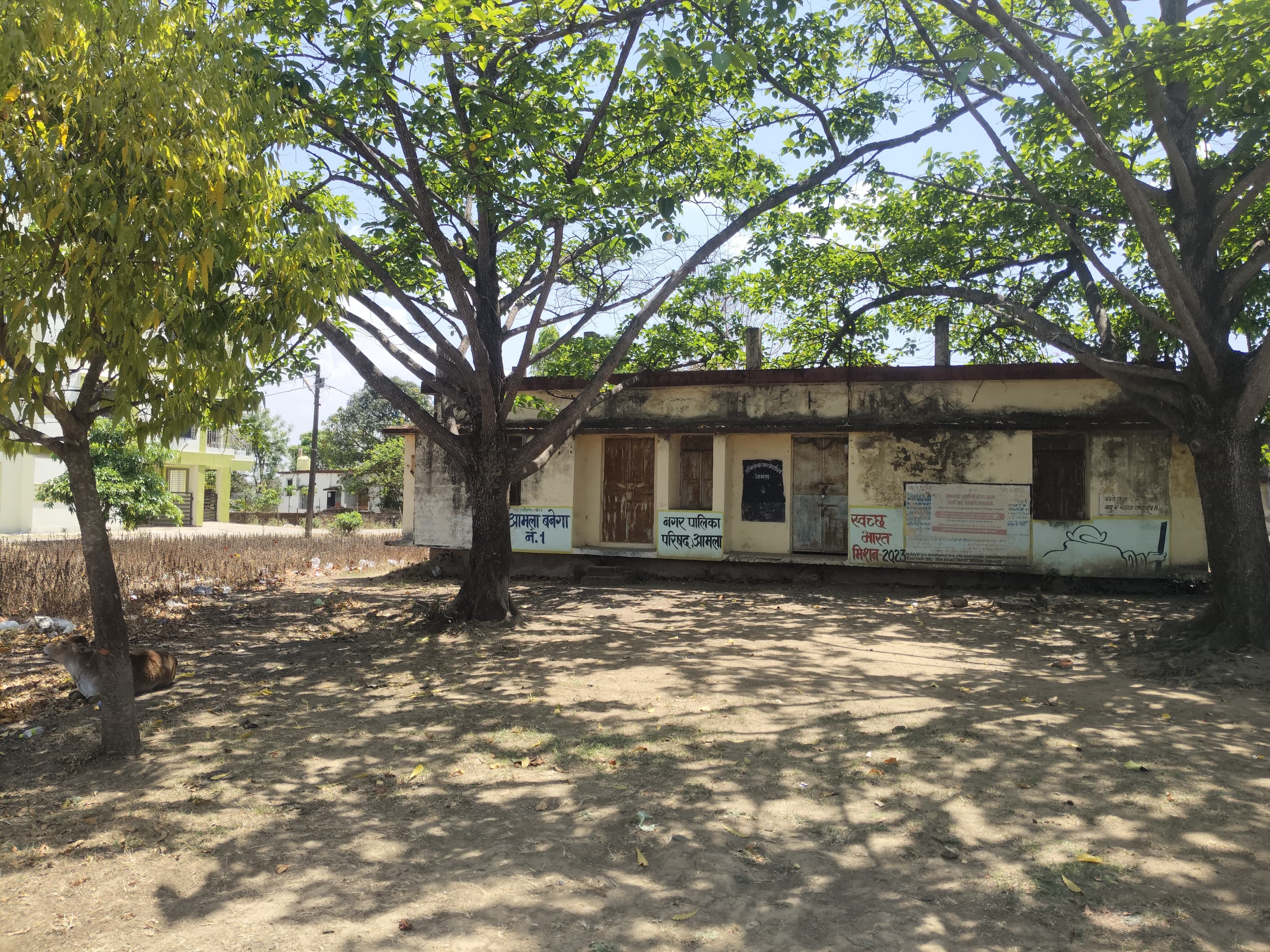 Additional News Image