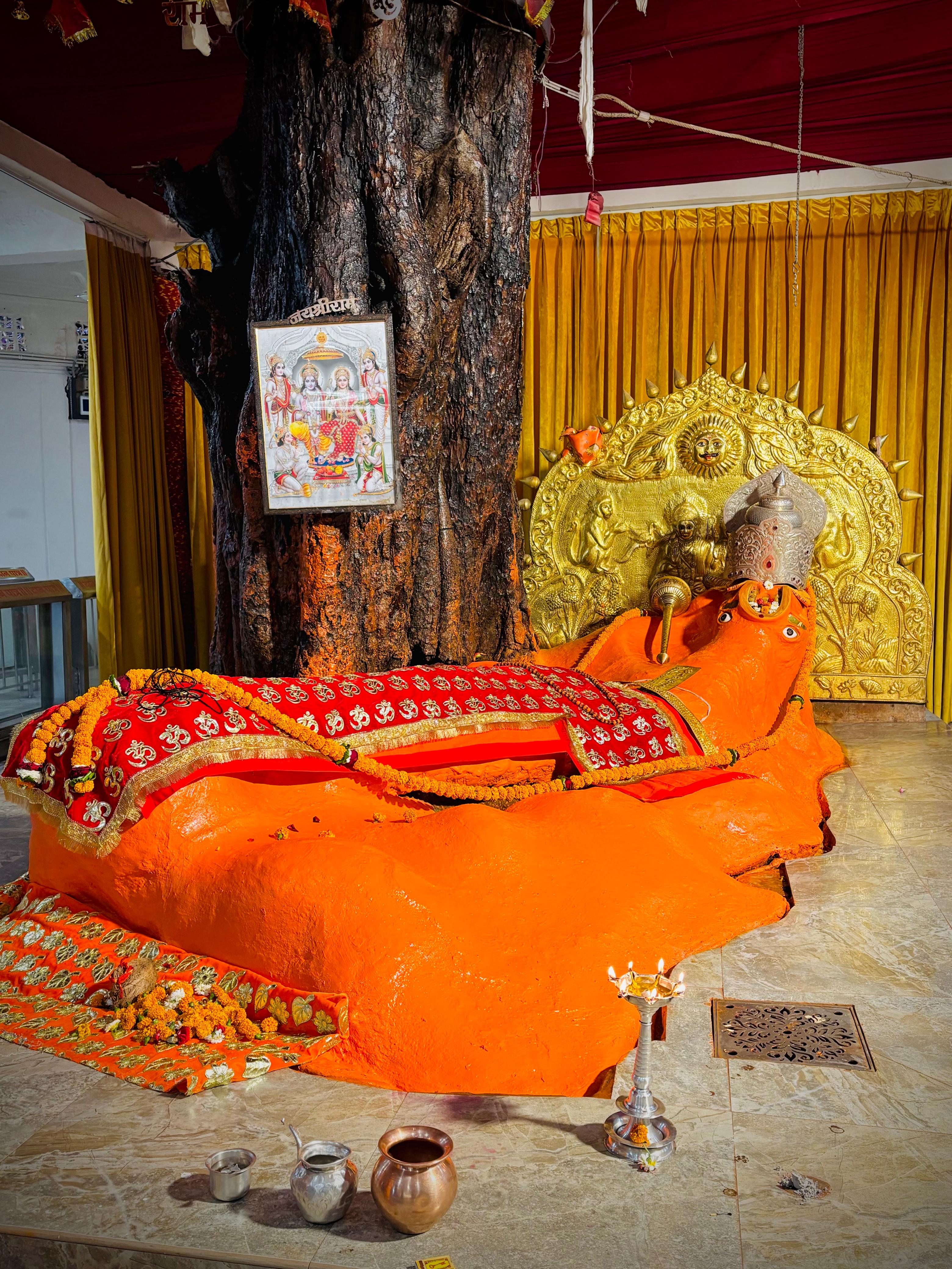 पूज्य जगद्गुरु ने वात्सल्य भाव से उस बालक का नामकरण ‘राघव posted by Umesh Kisna Dongare  from Pandhurna