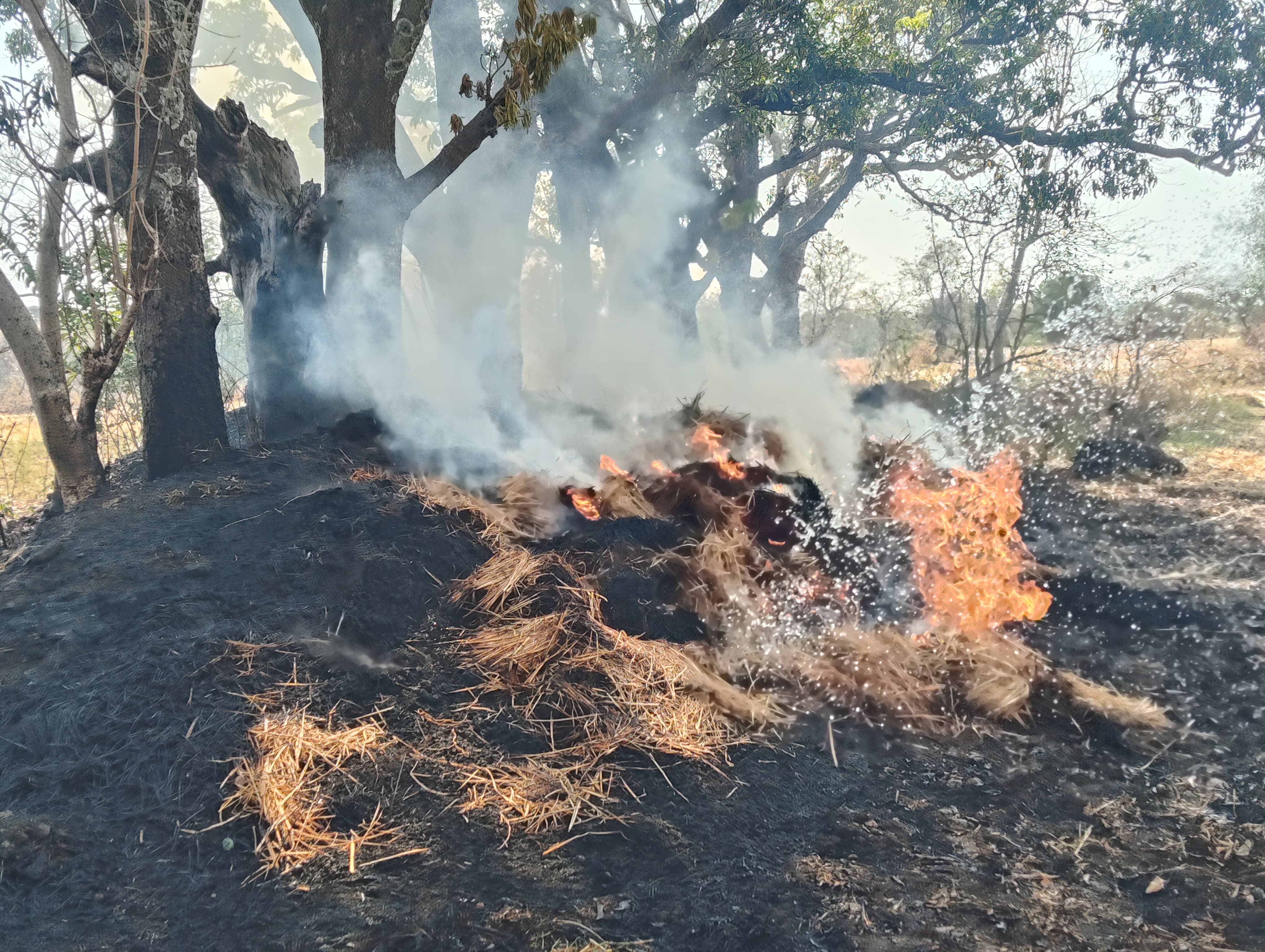 Additional News Image