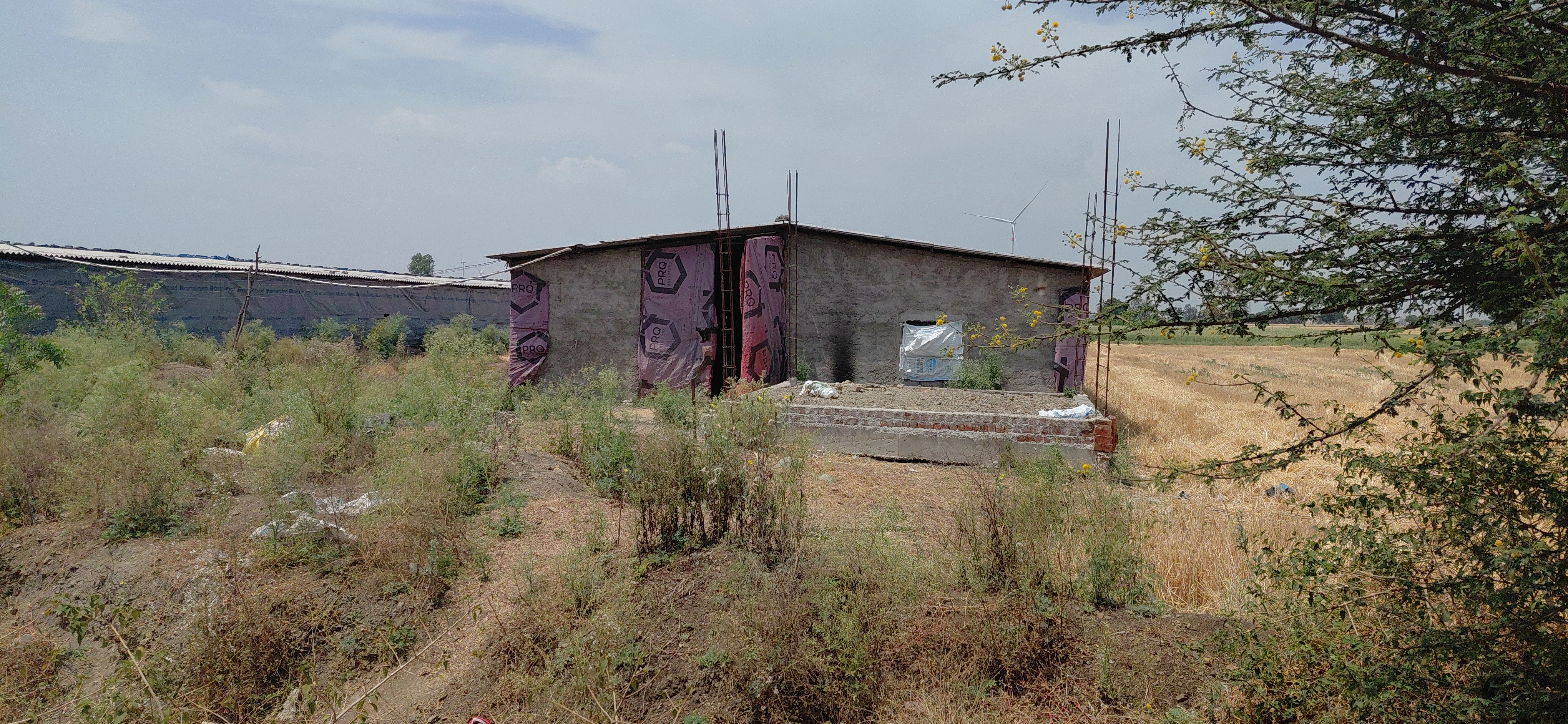 Additional News Image