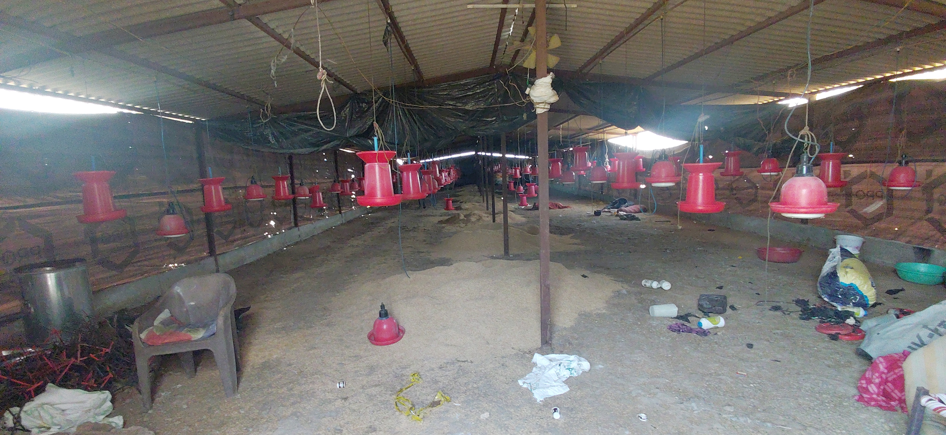 Additional News Image