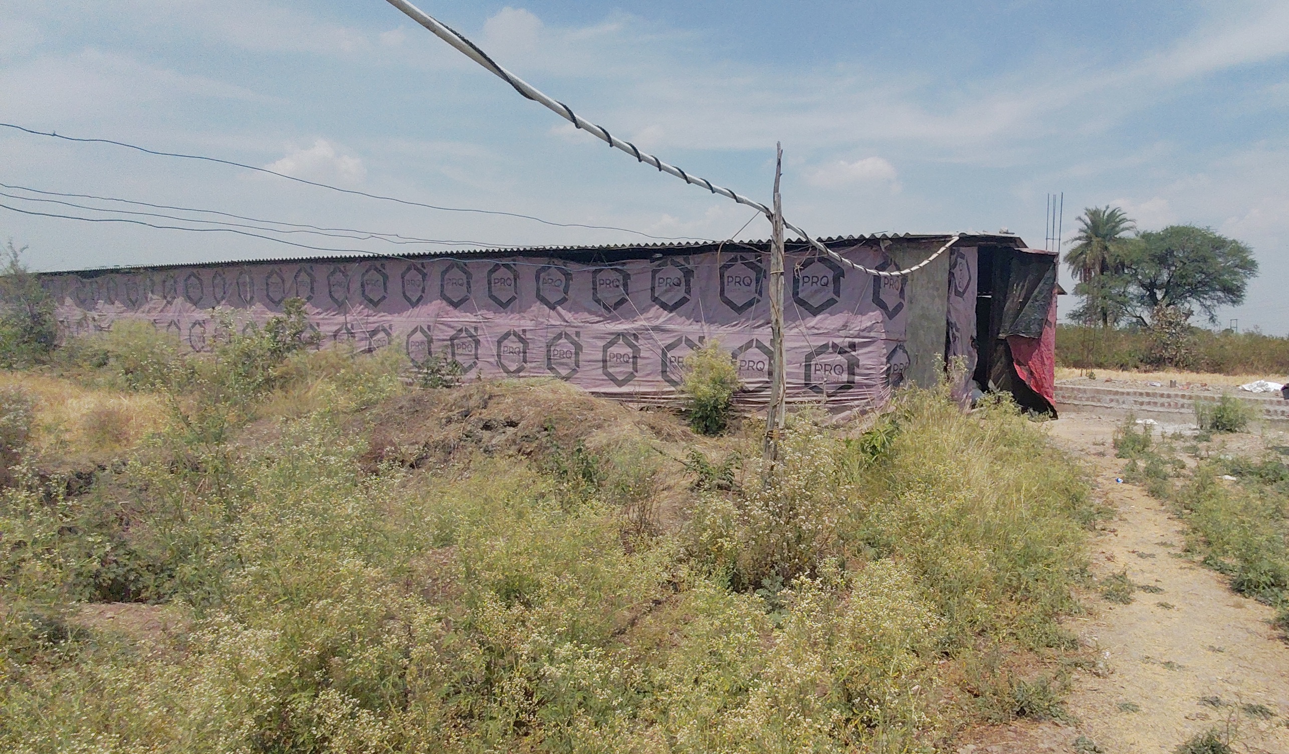 Additional News Image