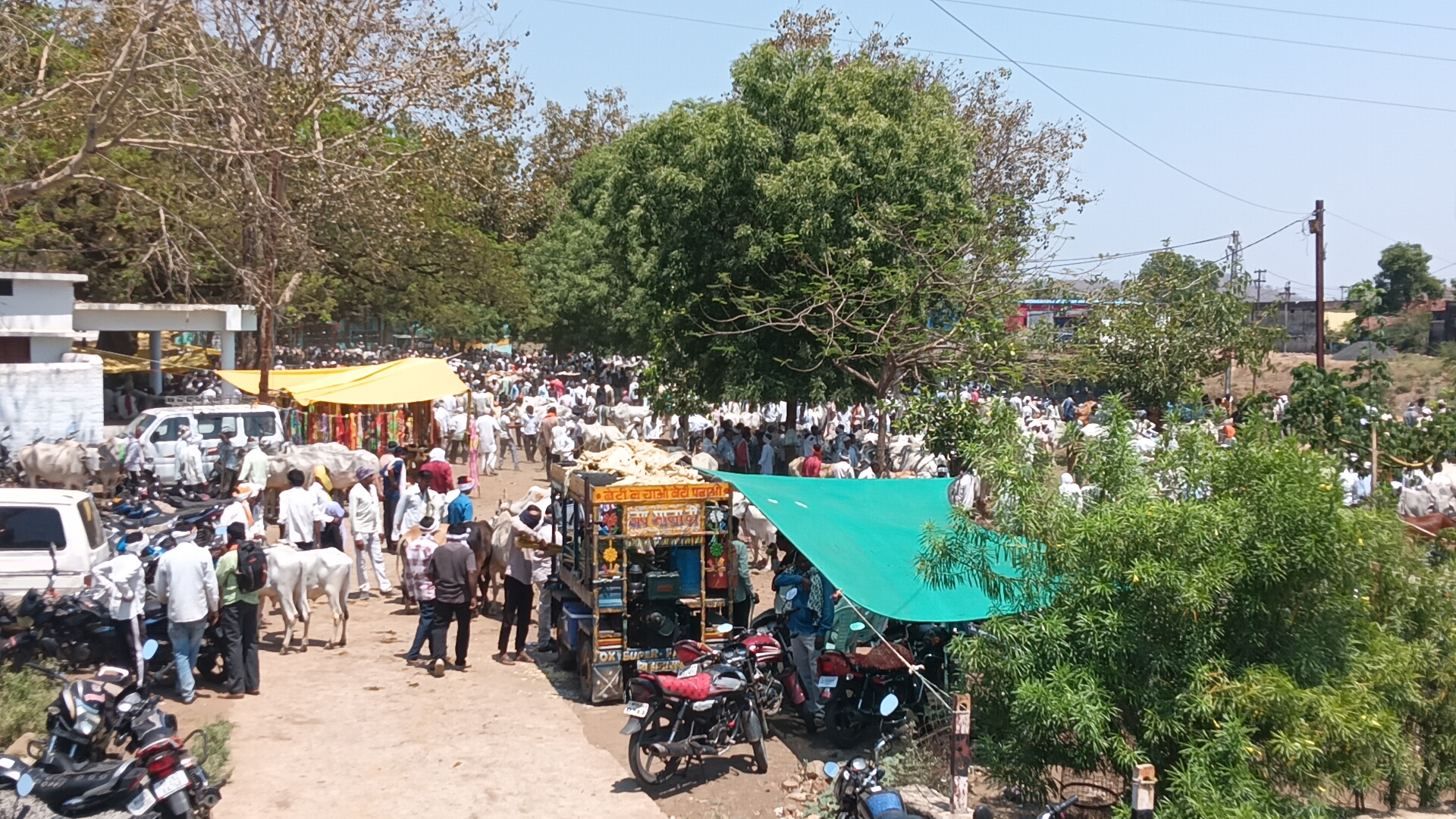 Additional News Image