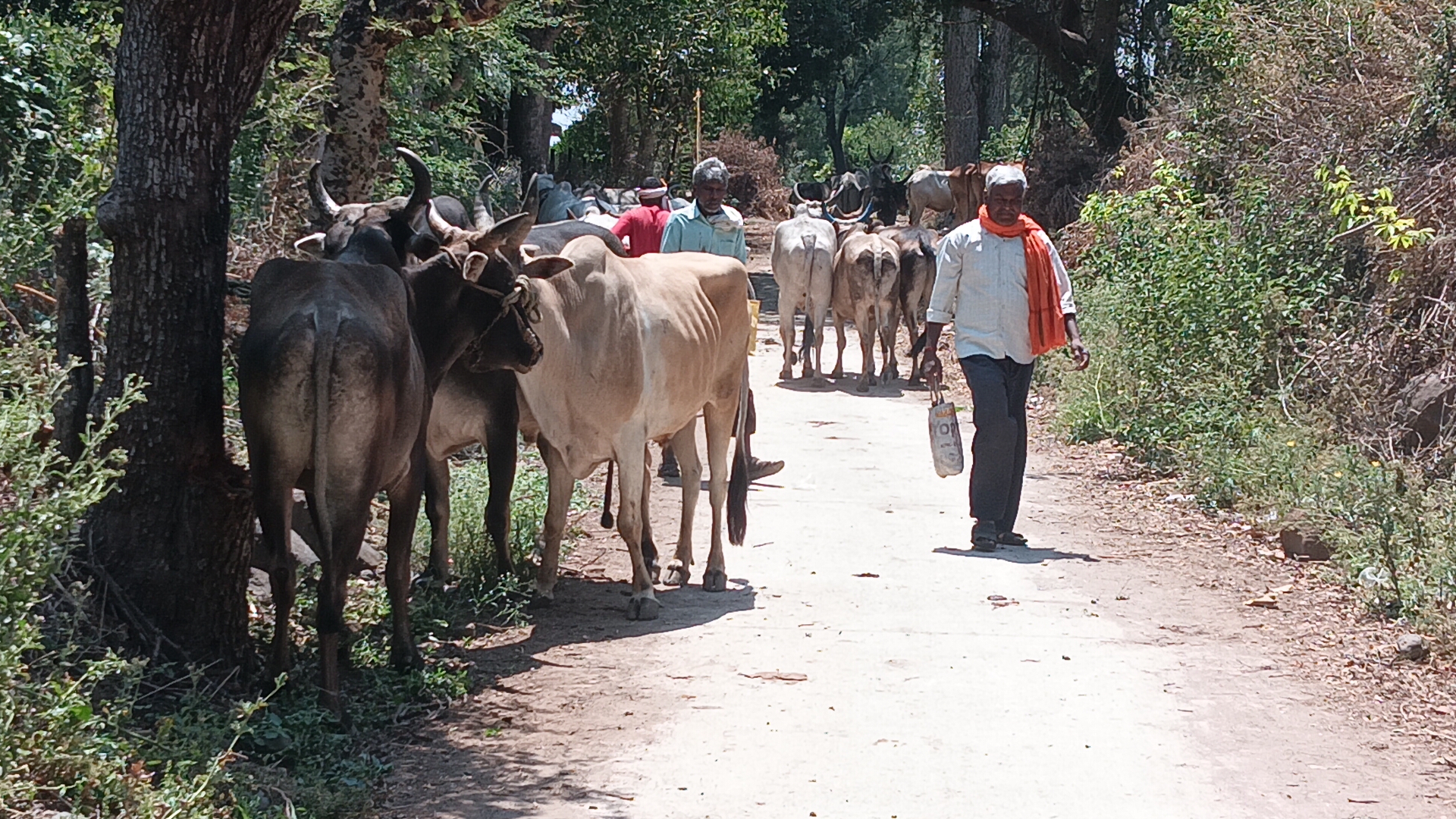 Additional News Image