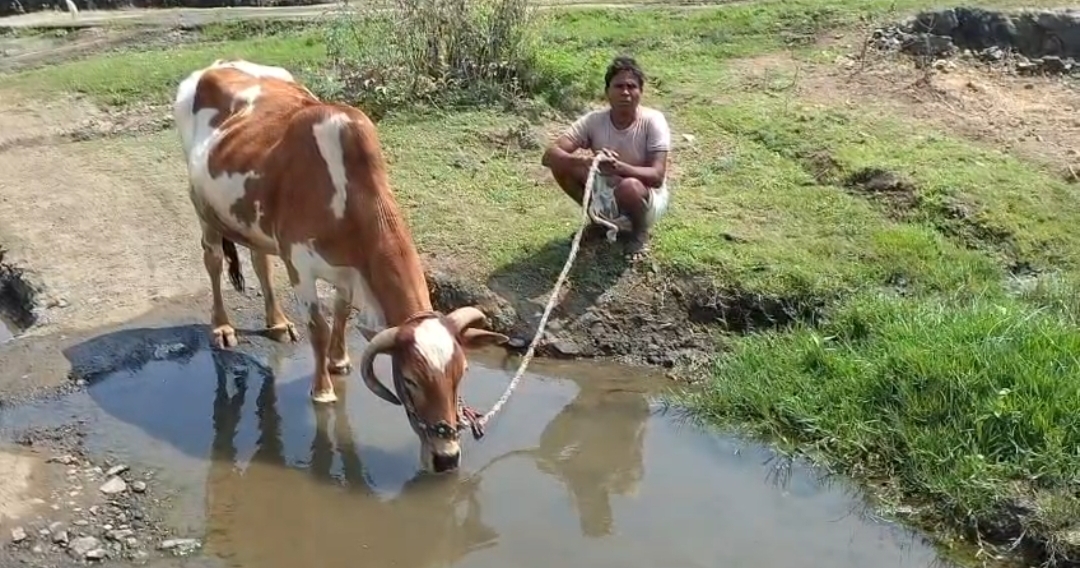 Additional News Image