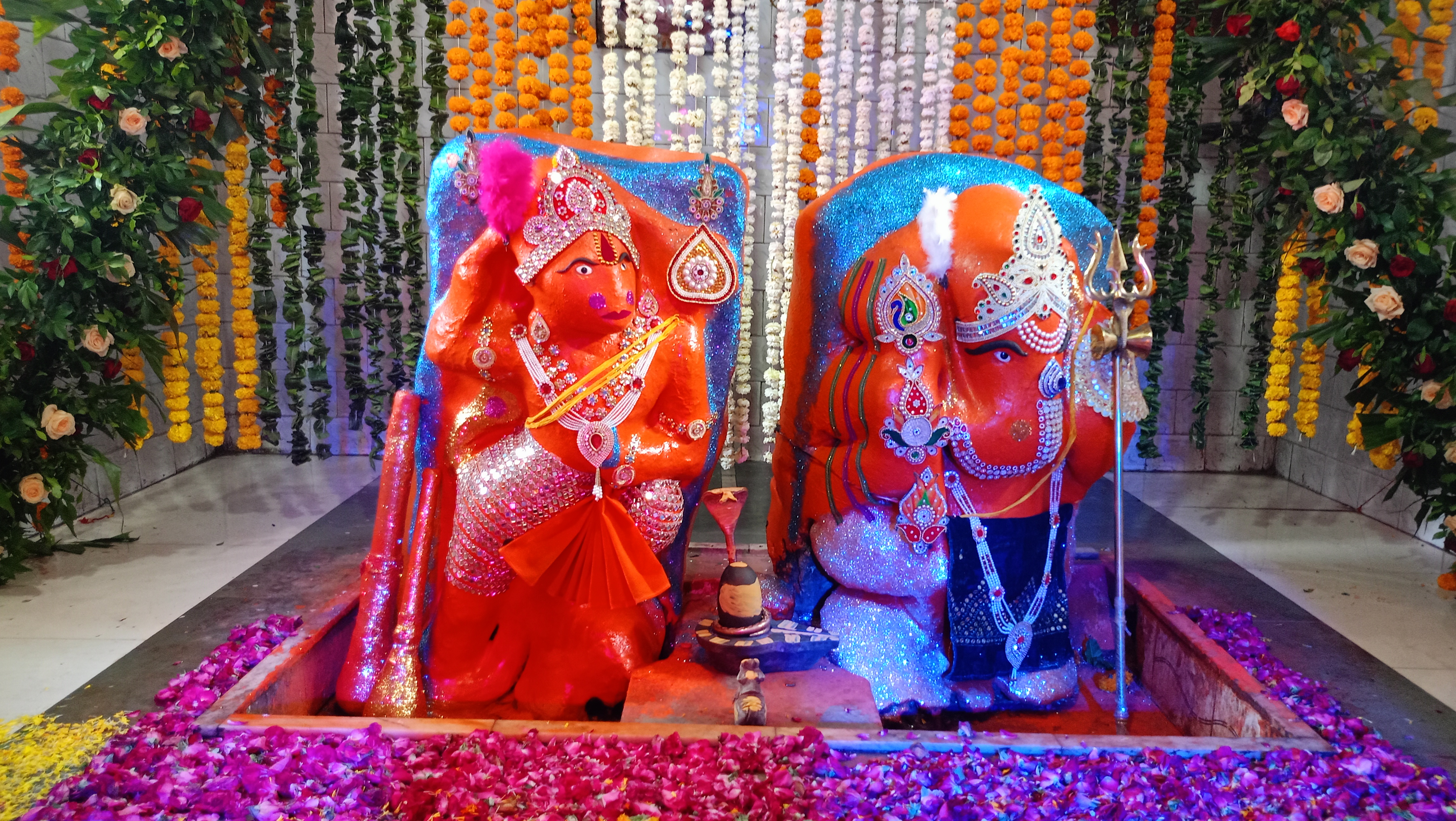 Additional News Image