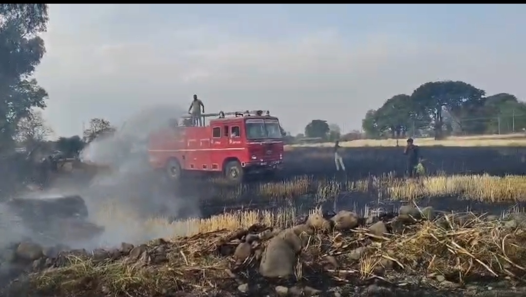 नरवाई की आग से खेत में लगी भीषण आग, फायर टीम ने समय रहते पाया काबू posted by Mohammad Afsar  from Multai
