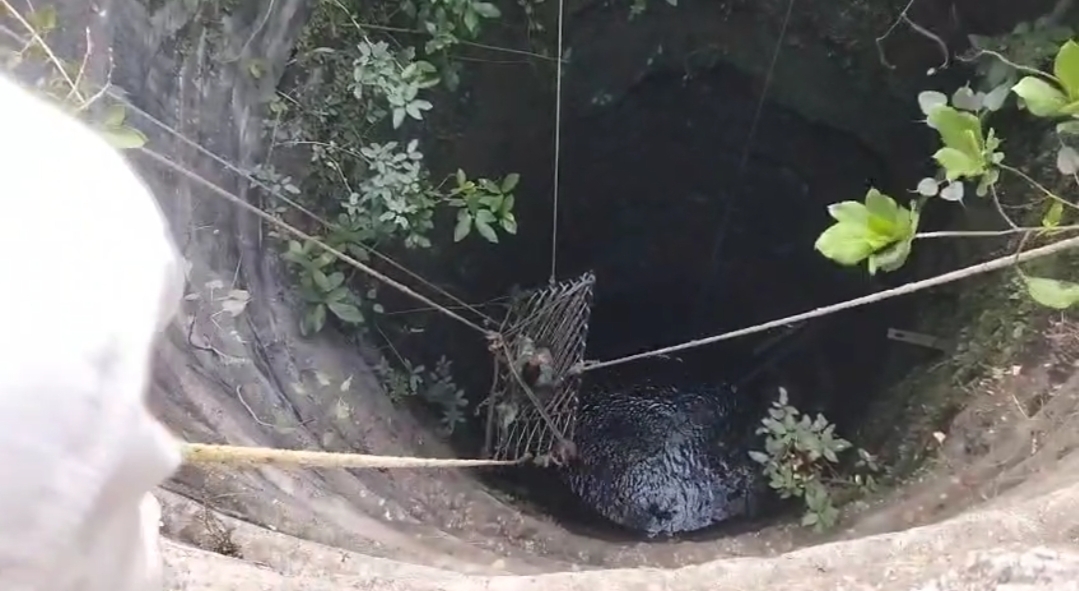 Additional News Image