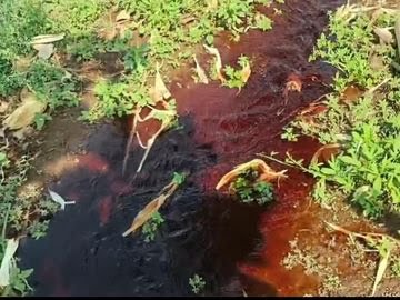 Additional News Image