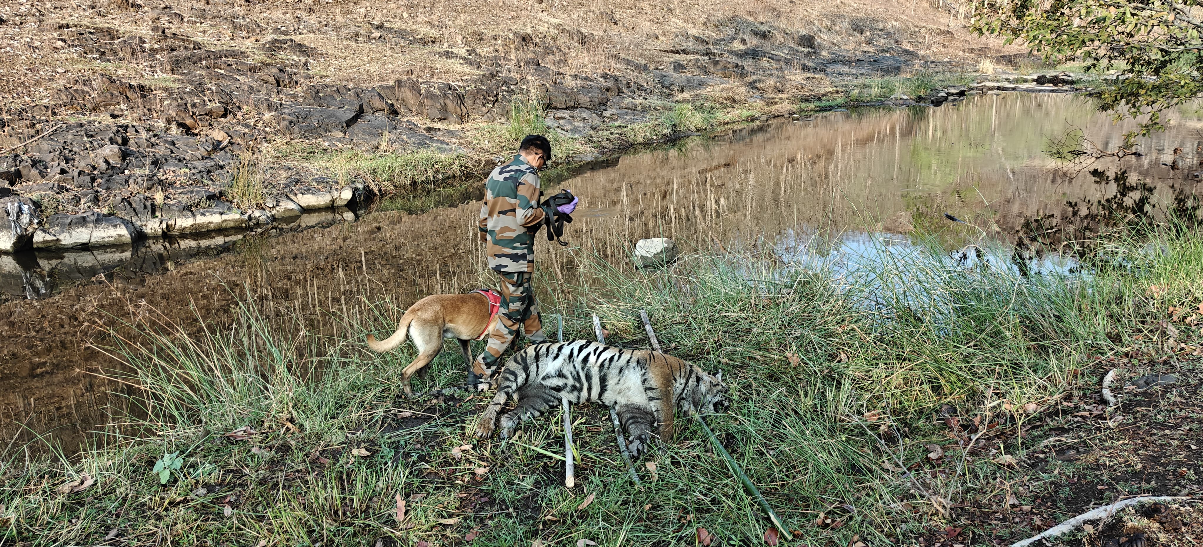 Additional News Image