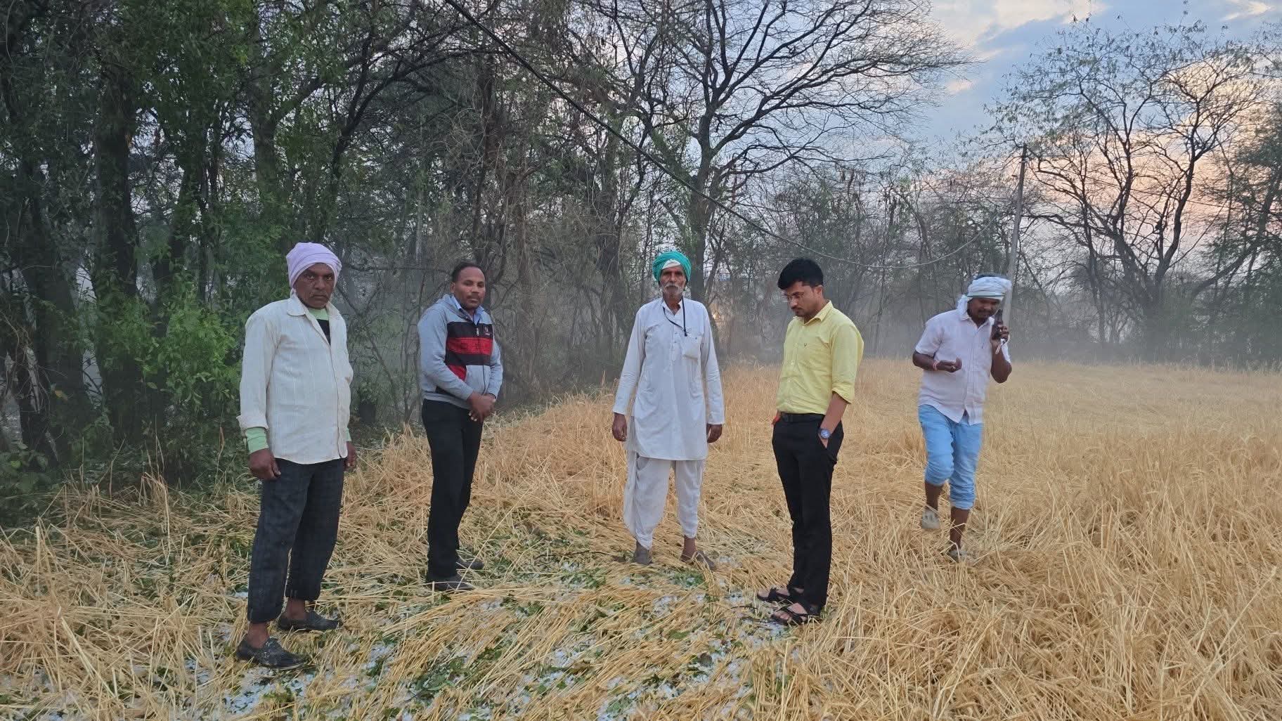 मुलताई-आठनेर में ओलावृष्टि, कलेक्टर ने दिए तत्काल सर्वे के निर्देश posted by Mohammad Afsar  from Multai