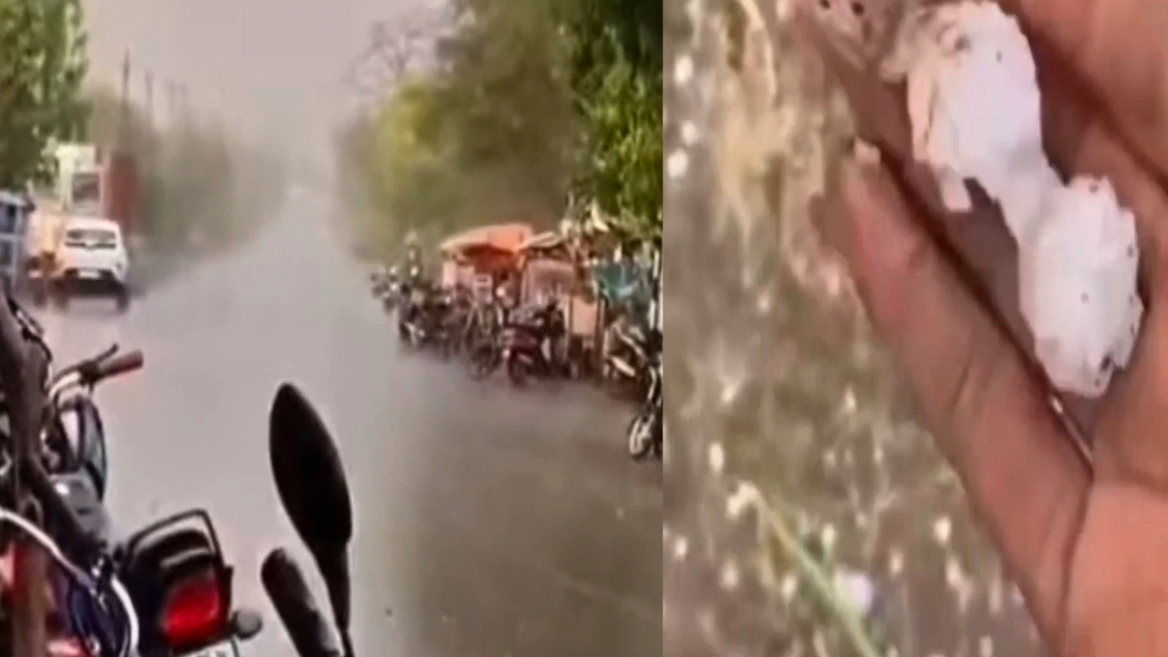 केसली के ग्रामीण अंचल में नुकसान; गेहूं की खड़ी फसल खेतों में बिछी