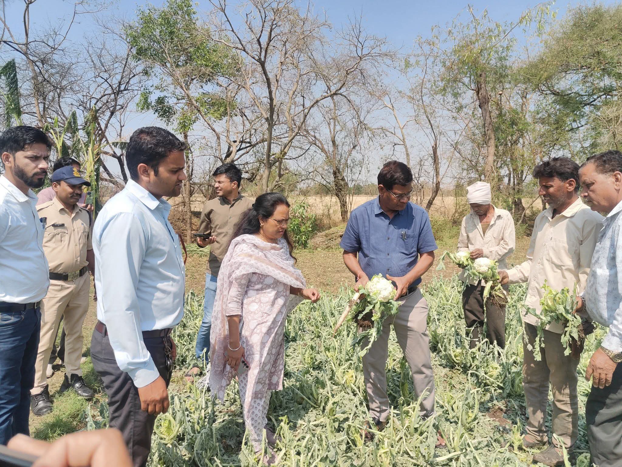 कोई भी प्रभावित किसान फसल सर्वे में न छूटे, क्षति की रिपोर्ट बीमा पोर्टल पर भी दर्ज कराएं posted by Mohammad Afsar  from Multai