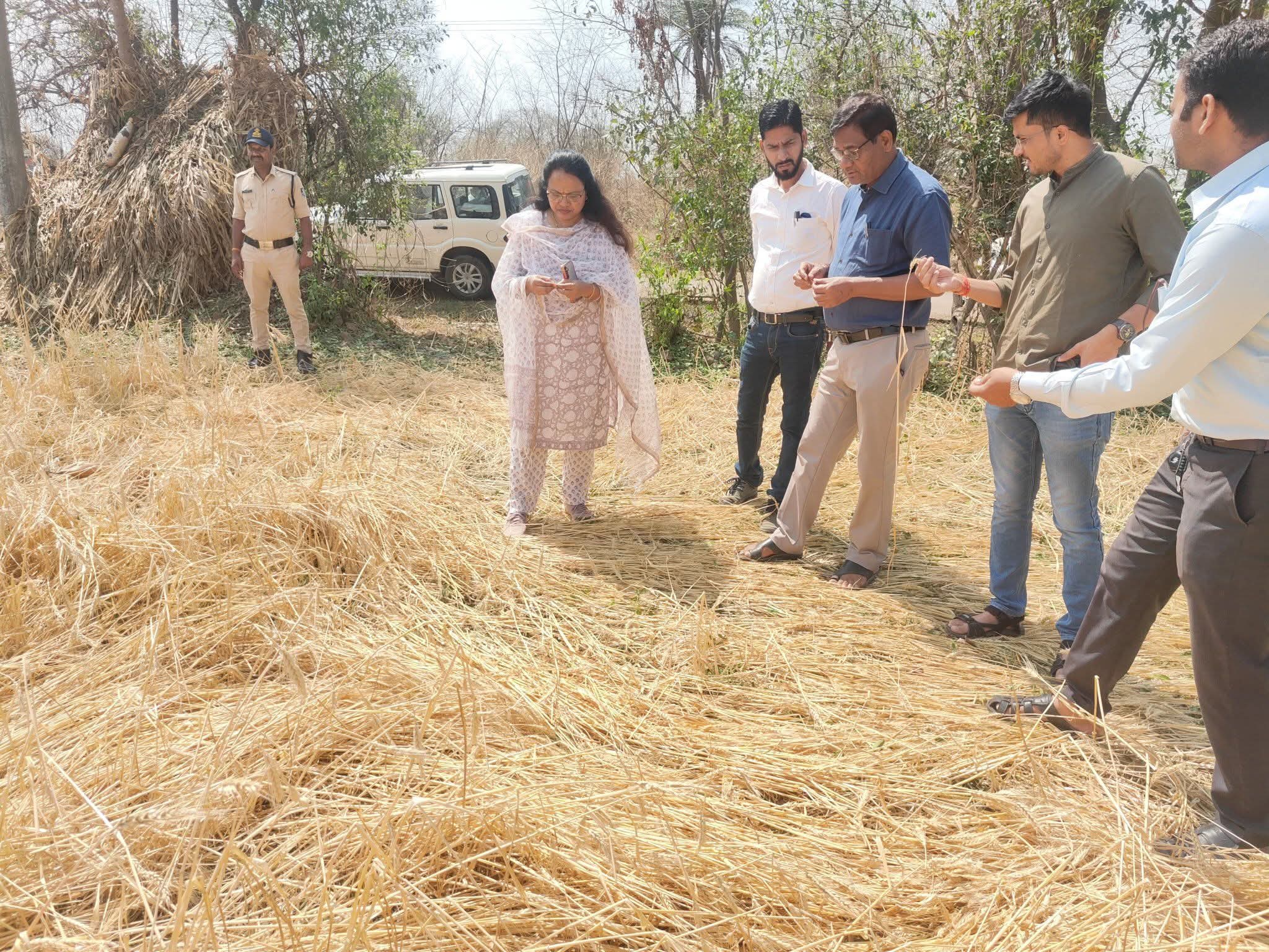 Additional News Image